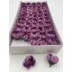 Nuferi sapun aster gray purple cutie 50 de capete