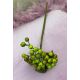 BUCHET BOBITE 2023 GREEN
