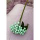 BUCHET BOBITE 2023 LIGHT BLUE