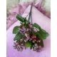 BUCHET VERDEATA FR 071 MOV