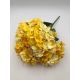 Hortensie buchet 6 fire H8 Galben degrade