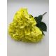 Hortensie buchet 6 fire H8 Yellow 