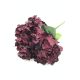 Hortensie buchet 6 fire H8 Grena