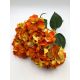 Hortensie buchet 6 fire H8 Orange