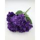 Hortensie buchet 6 fire H8 Violet