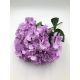 Hortensie buchet 6 fire H8 Mov 
