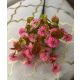 BUCHET VERDEATA FR100 CICLAM
