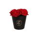 Cutie mica – Cod W9337 Negru