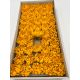 Nuferi sapun aster yellow cutie 50 de capete