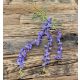 Ghirlanda visteria glicina mare Mov nou - Set 12 fire