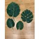 SET 12 FIRE MONSTERA MIC