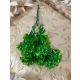 VERDEATA 2082 GREEN