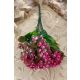 VERDEATA 2082 PINK