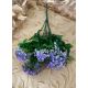 VERDEATA 2082 PURPLE