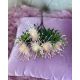 VERDEATA 7075 PINK