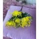 VERDEATA 7075 YELLOW