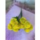 VERDEATA CIULIN FL042 GLABEN