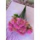 VERDEATA CIULIN FL042 ROZ