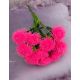 VERDEATA CIULIN FR055 ROZ