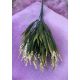 VERDEATA FR060 CREM