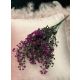 VERDEATA FR103 ROZ