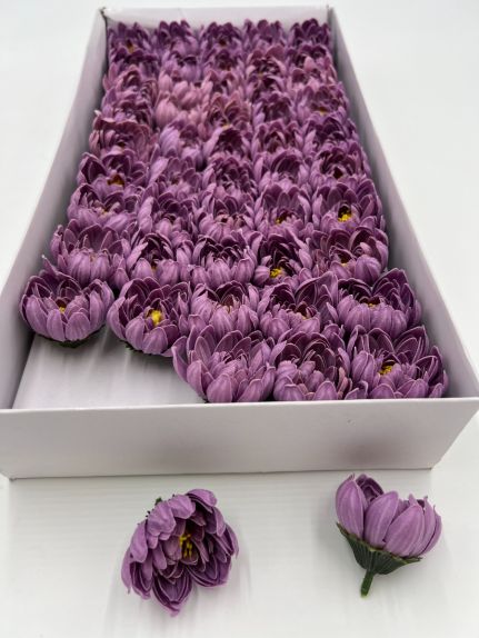 Nuferi sapun aster gray purple cutie 50 de capete