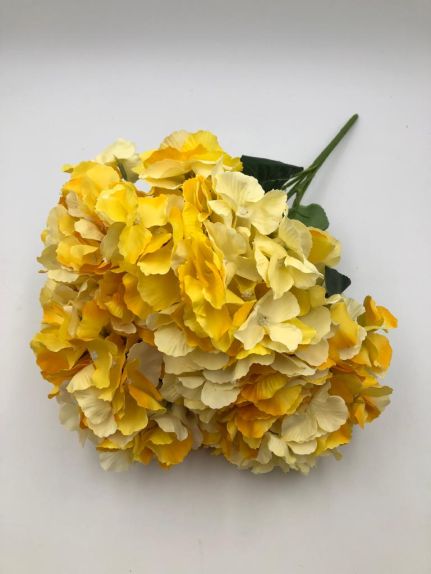 Hortensie buchet 6 fire H8 Galben degrade