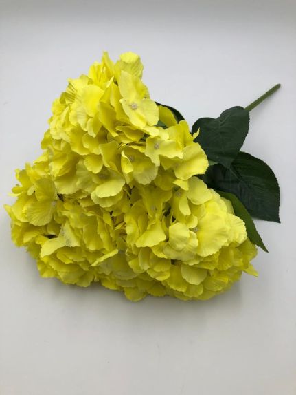 Hortensie buchet 6 fire H8 Yellow 
