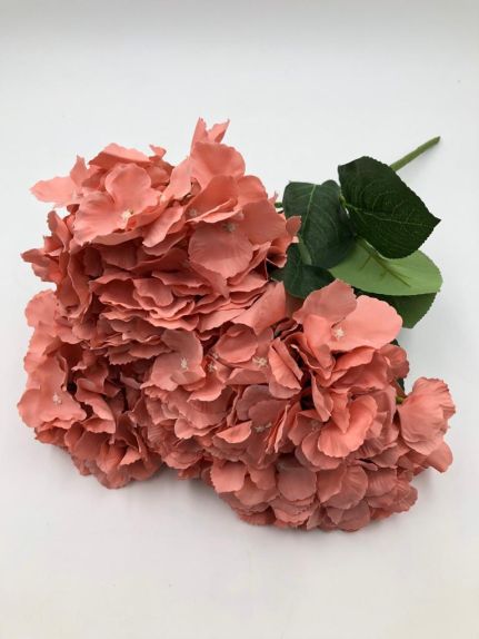 Hortensie buchet 6 fire H8 Medium Pink