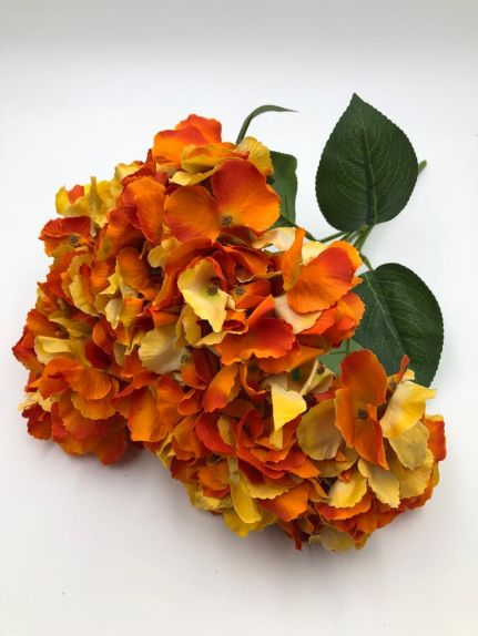 Hortensie buchet 6 fire H8 Orange