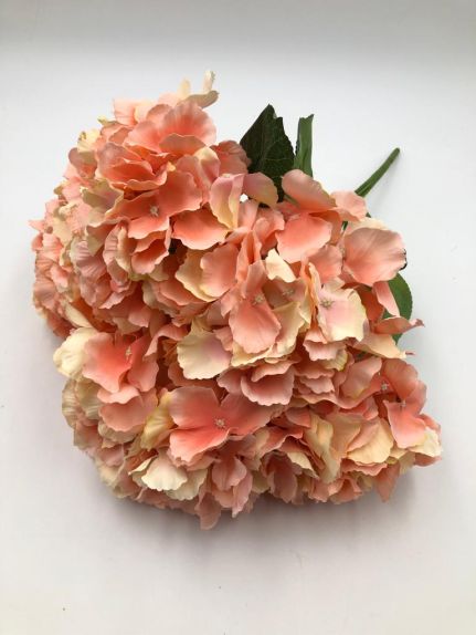 Hortensie buchet 6 fire H8 Roz degrade