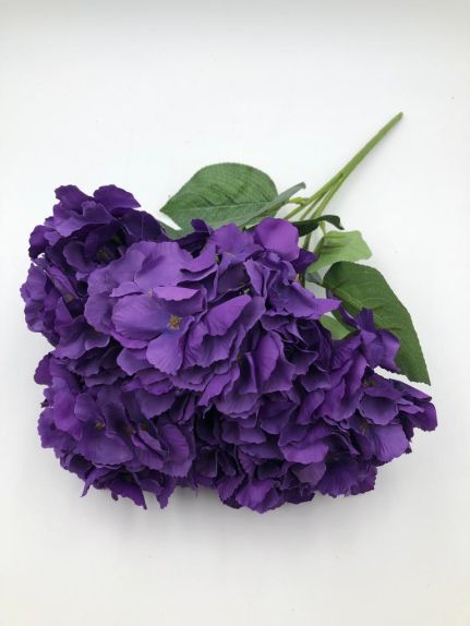 Hortensie buchet 6 fire H8 Violet