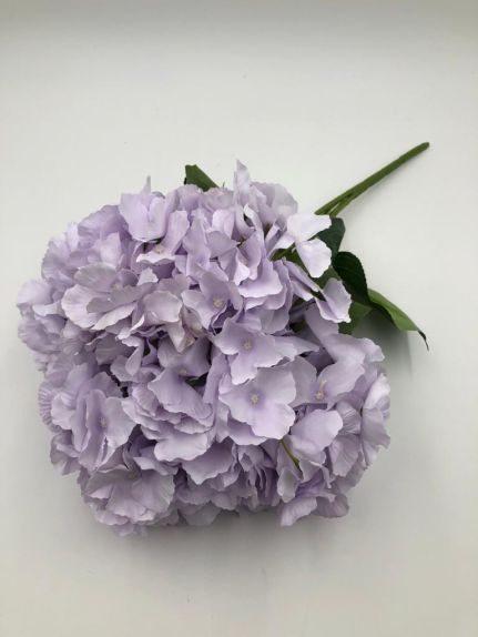 Hortensie buchet 6 fire H8 Lila