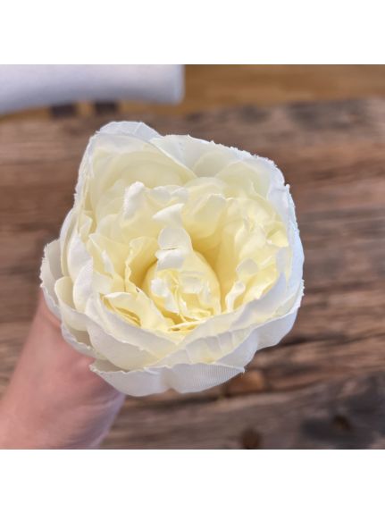Cap bujor diametru 9 cm Alb