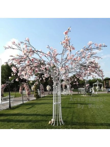 Copac magnolie alb H2.80m(flori de magnolie incluse)