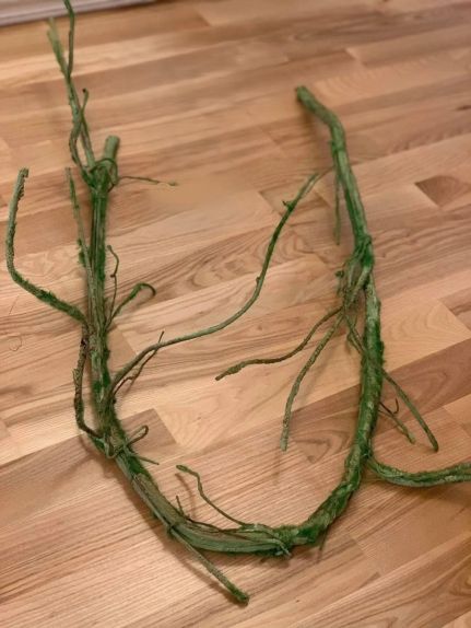 CREANGA MUSCHI VERDE CF021 1,8M