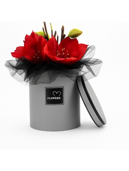 Cutie rotunda cu maner – Cod Cutii nr. 2 Gri