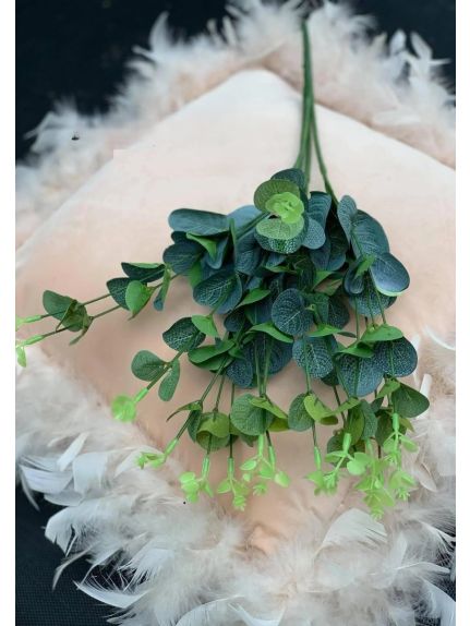 EUCALIPT VERDE