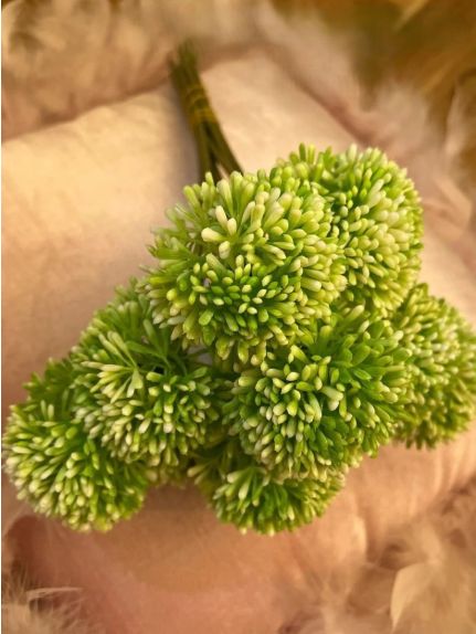 FIR CIULIN FR105C VERDE