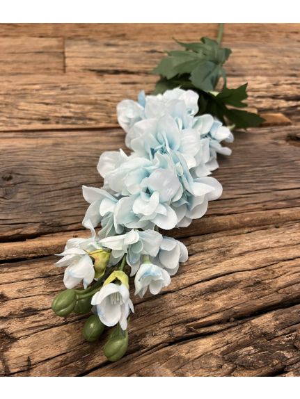 Delphinium FL031 Turcoaz