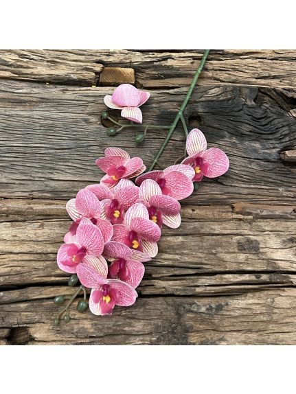 Mini orhidee silicon Medium pink