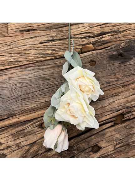 Trandafir MW47234 Ivory