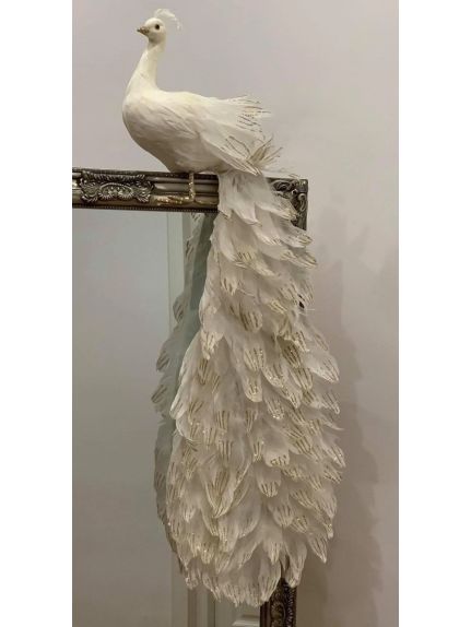 Păuniță Albă Decorativă Cod 4022