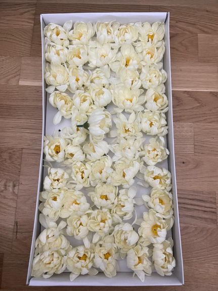 Bujori de sapun parfumat peony small Milky white cutie 50 flori