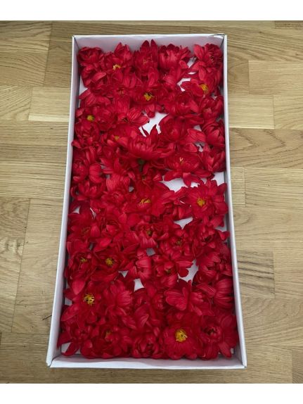 Bujori de sapun parfumat peony small Rosu cutie 50 flori