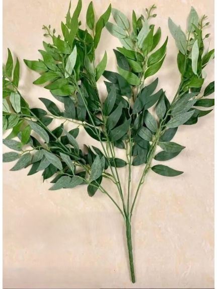 RUSCUS COD FRUNZE05