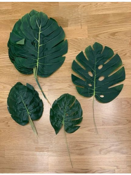 SET 12 FIRE MONSTERA MIC