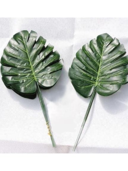 SET 12 FIRE MONSTERA MARE FR027