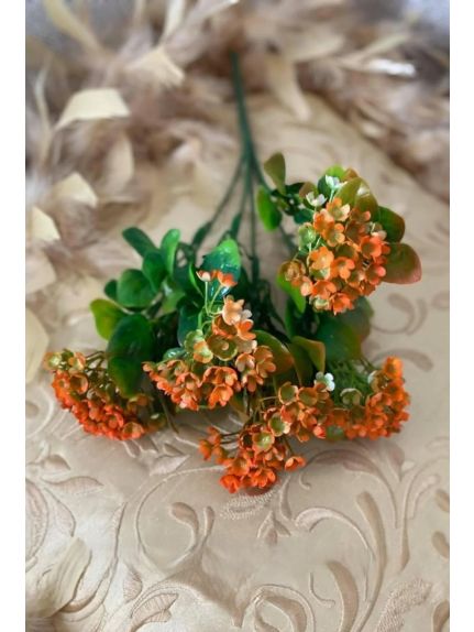 VERDEATA 2082 ORANGE