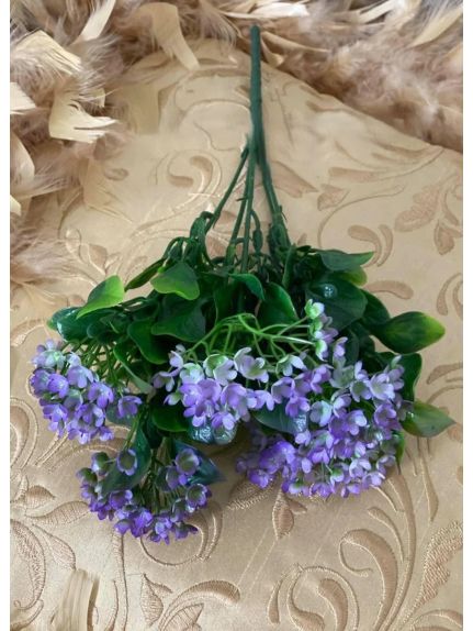 VERDEATA 2082 PURPLE